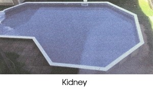 Kidney shaped pool